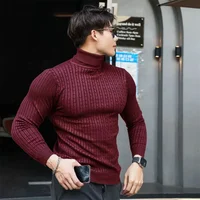 New Men's Turtleneck Sweaters Autumn Knitted Striped Streetwear Warm Long Sleeved Pullover Solid Color Basic Style Casual Tops 2