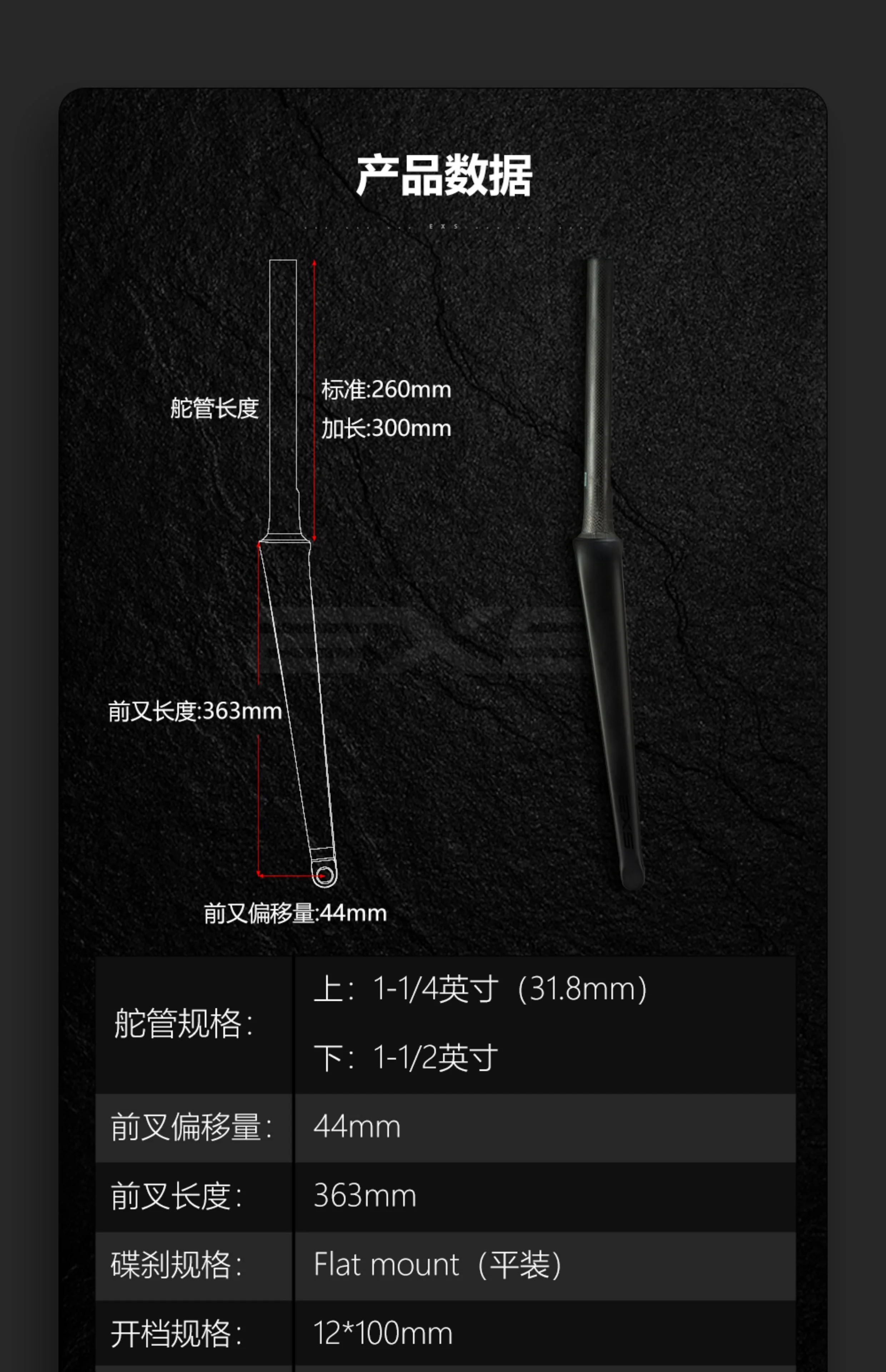 EXS FK-00 Full Internal Carbon Road Fork OD2 Carbon Disc Brake