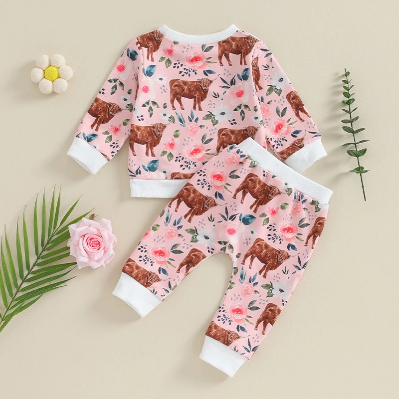 

Baby Boy Girl Western Clothes Cute Letter Long Sleeve Oversized Sweatshirt and Cow Cactus Pants Toddler Outfits
