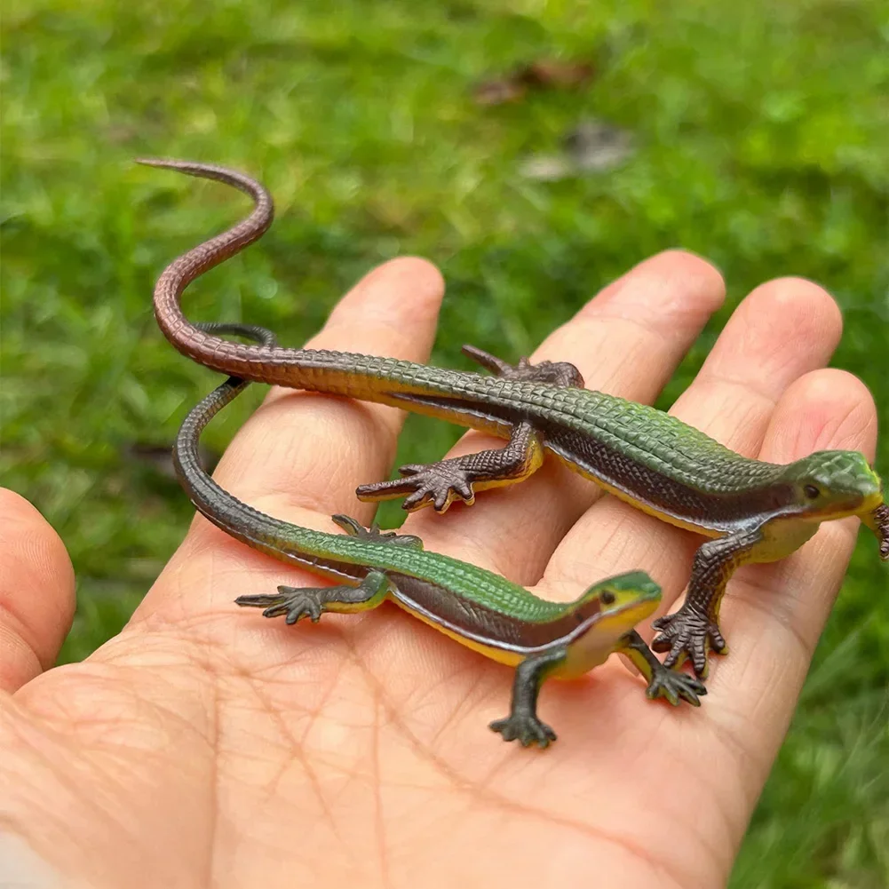 Safe Simulation Lizard Ornament Reptile Iguana Animal Model Decoration Children's Animal Enthusiast Education Gift