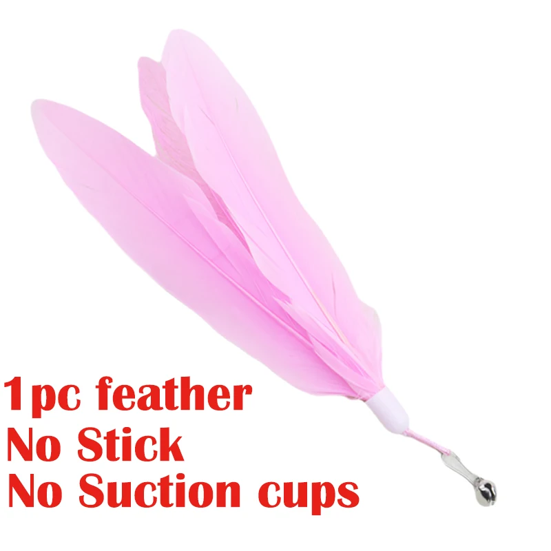 Pink Feathers