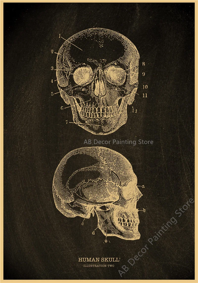 Nostalgic Posters Anatomy Chalkboard Poster Prints Body Parts Heart Hand Foot Drawing Vintage Home Room Art Wall Decor Painting Peckshirt