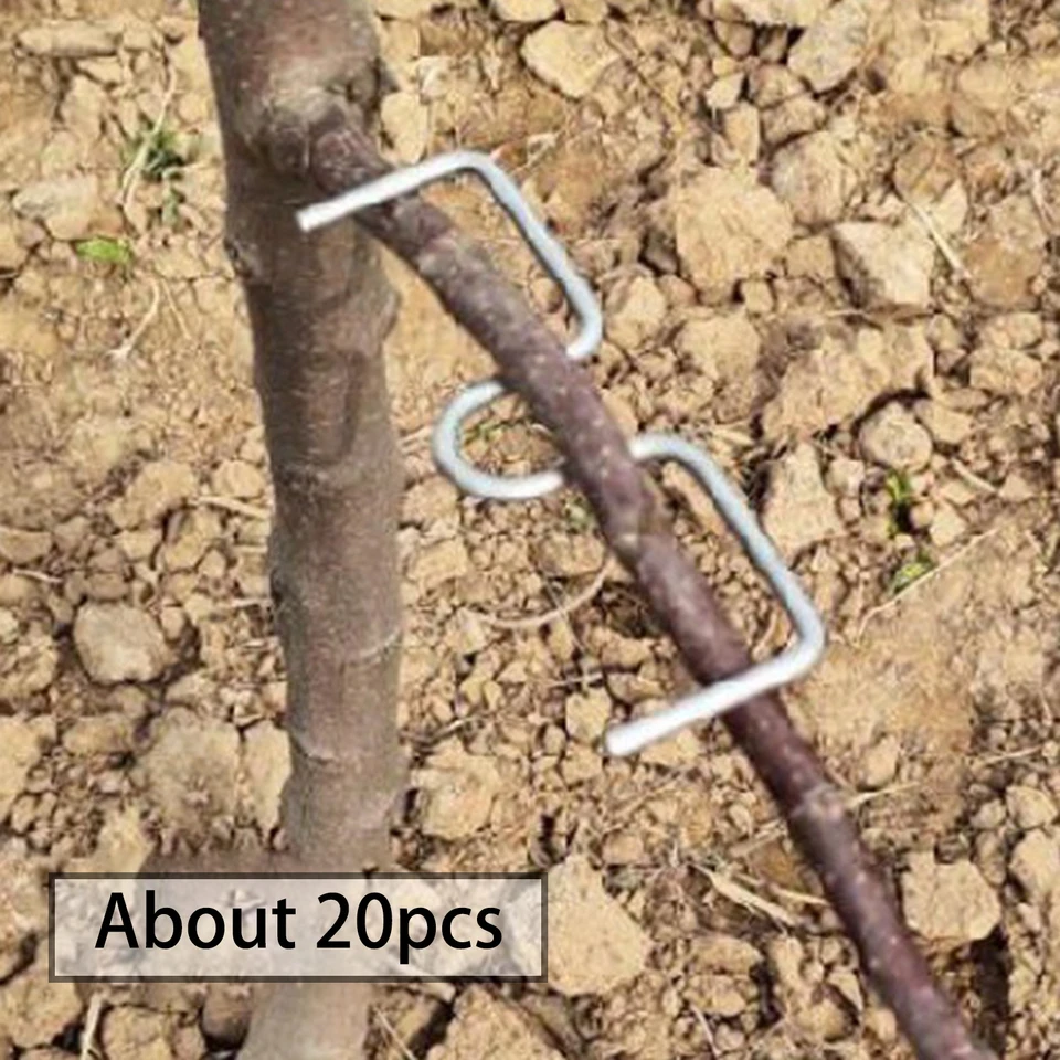 Divaricatori Rami 20 Pezzi - Per Alberi Da Frutto | Distanziatori Per Modellatura - Foto 3