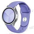 Lilac-6