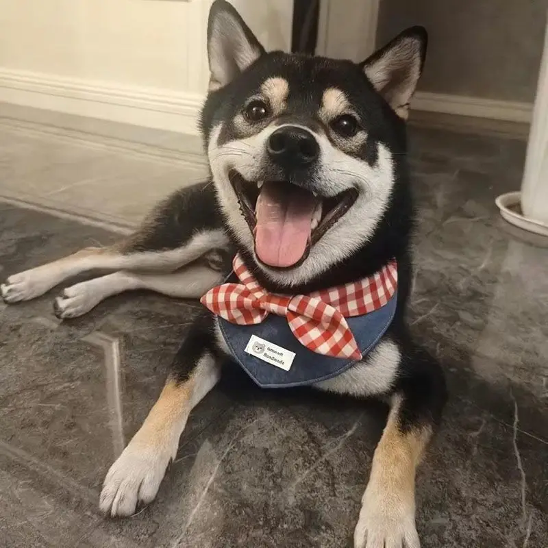 gmmUi/2jyNSkrcd8g6lpVKgPUo/9SIs9qAYj