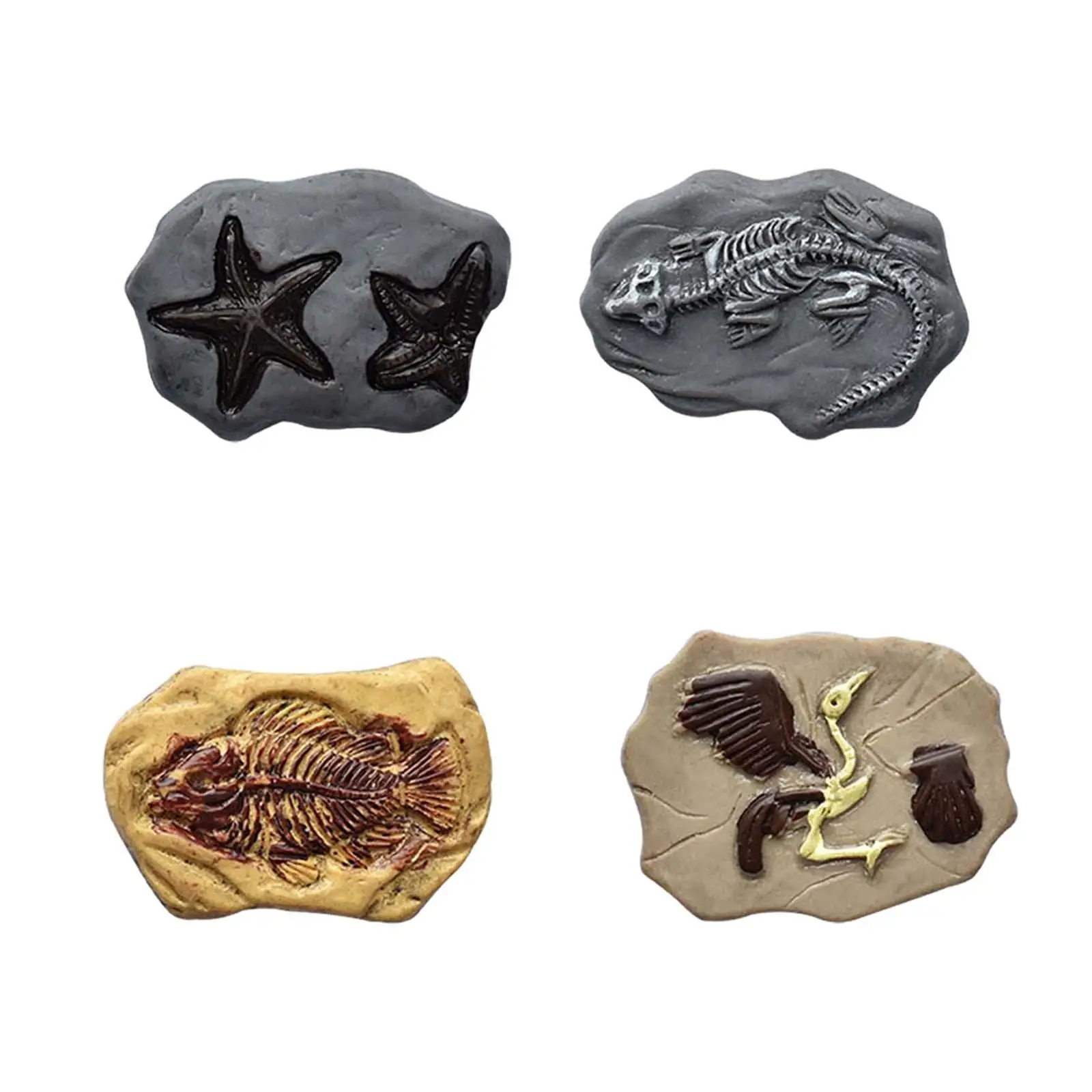 

Miniature Fossil Decoration Resin Educational Gift Science Play Realistic Carfts for Making Crafting DIY Projects Dollhouse Kids