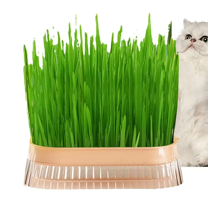 

Cat Grass Planting Box Pet Grass Growing Kit Easy To Use Sturdy Non-Slip No Smell Soil-Free Hydroponic Cat Grass Planter
