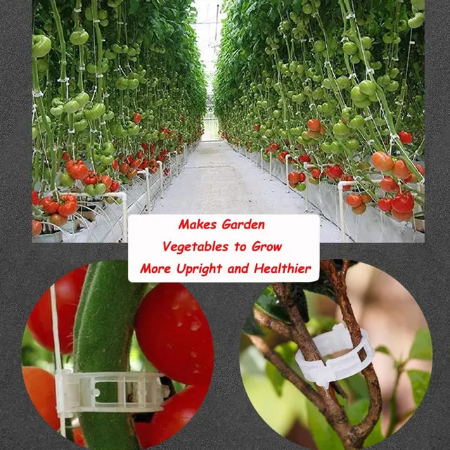 50-100 Százalékos Növényi Támogató Klipek Kerti Szőlő Paradicsom Zöldségek Növények Rácsos Zöldségekhez - Image 6