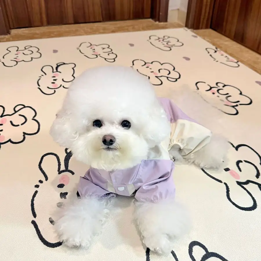 네발용 전신 방수 강아지 우비, 방수 강아지 코트, 강아지 비옷, 조절 가능한 강아지 방수 의류