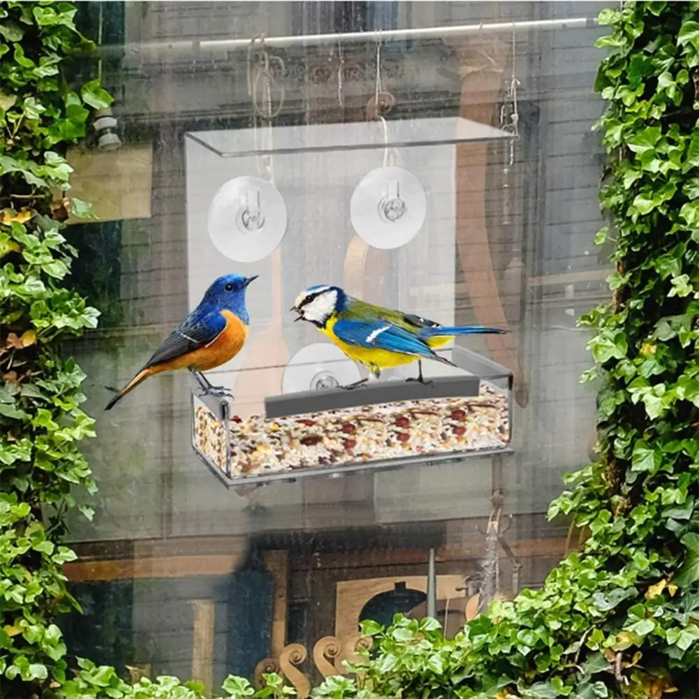 

Window Parrot Feeder Transparent Drainage Hole Thickened Great Friction Perching Strip Parrot Feeder Bird Accessories