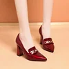 2025 New High Heels Shoes Large Size Waterproof Platform Fashion Shallow Patent Leather High Quality Women Shoes 1