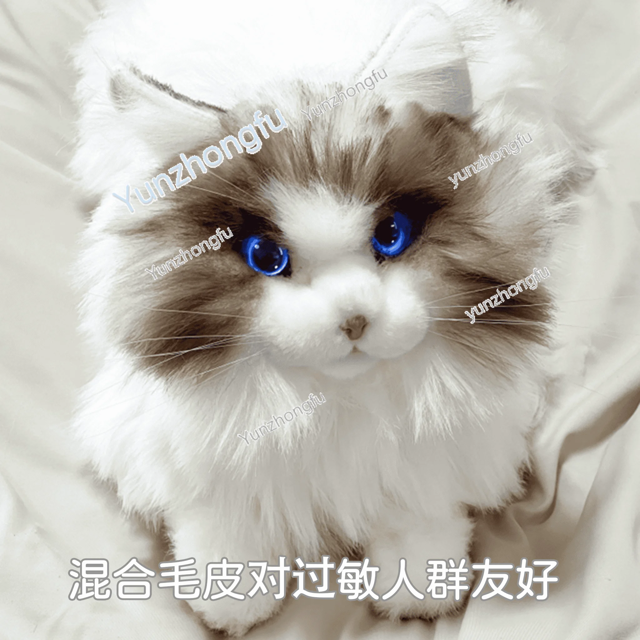 

Metacat Mita Cat Can Call A Moving Simulation Machine Muppet Cat Plush