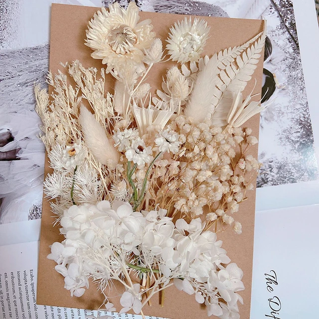 Dry Flowers Preserved Flowers Materials Epoxy Resin Candles DIY Floral  Materials Hydrangea A Variety Of Flowers In A Package - AliExpress