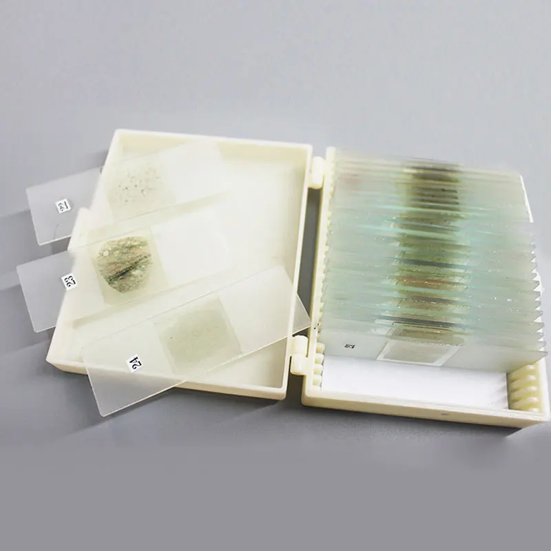 24 Pcs 30um Geological Research Flakes Prepared Fir Gum Sealing Rock