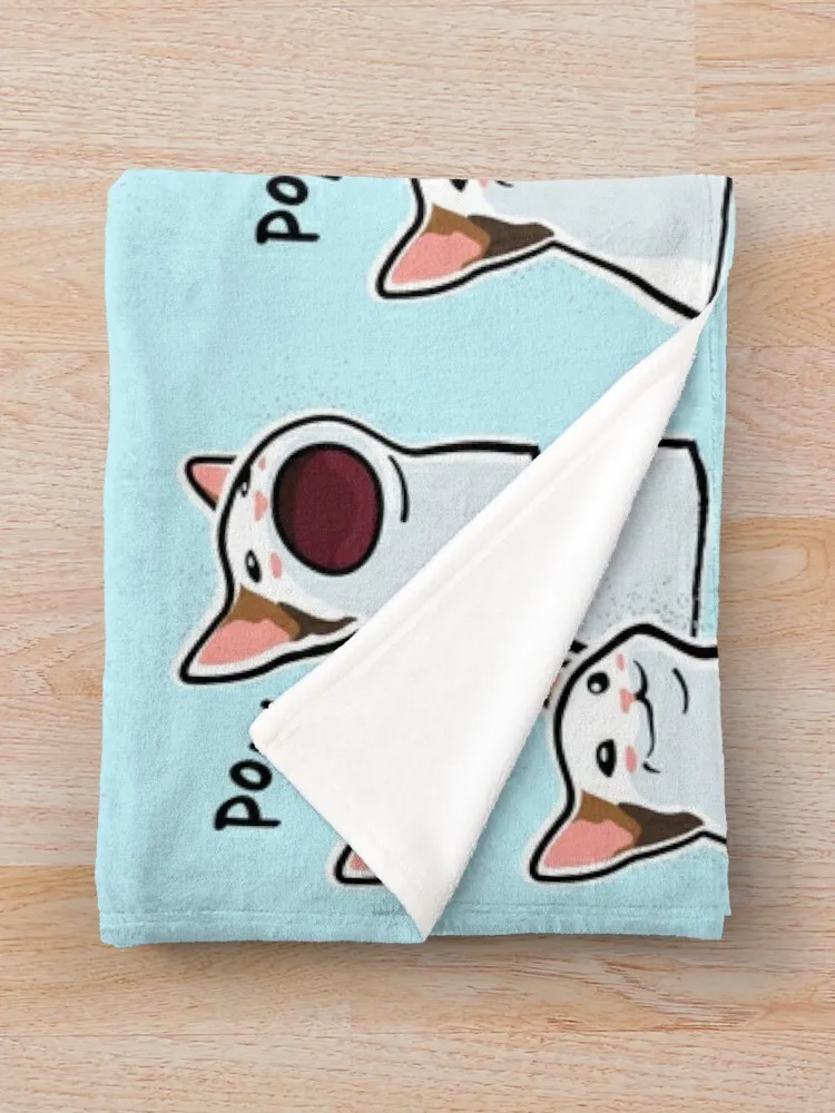 �� ������ �� �� ������ ������ ���, ���� ���, ���� ���