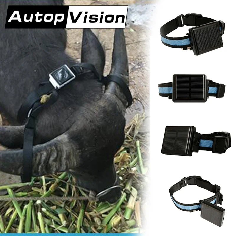 Localizador GPS Para Animales - Con Carga Solar, Impermeable IP67, Para Ganado, Cabras, Caballos