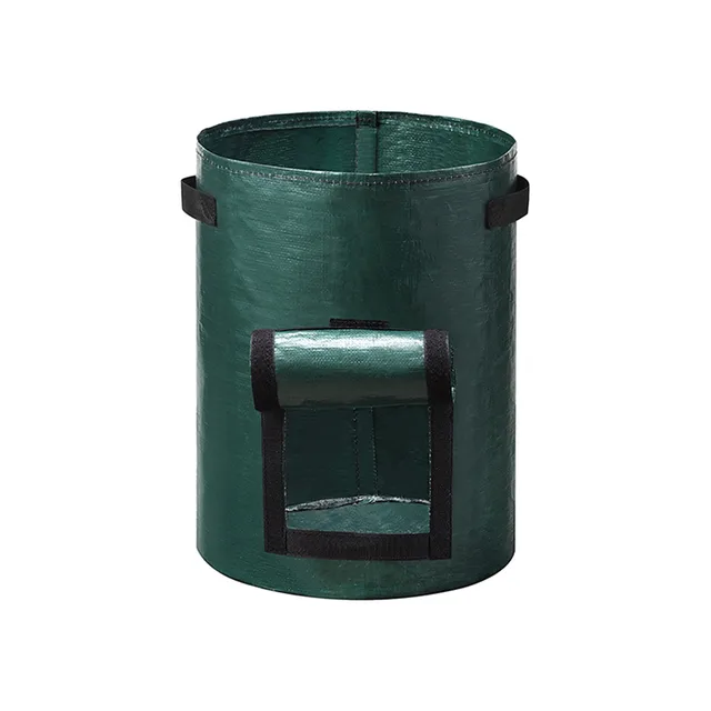 Burgonyazsák És Zöldségvödör Eper Táska Pe Spárga Korona 2 Éves Napraforgó Madarak Fű 20 Lb - Image 5