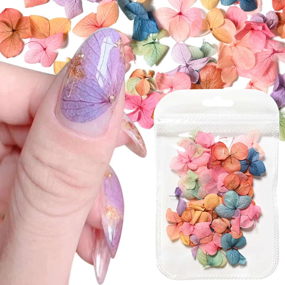 

50Pcs Dried Flower Series Nail Art DIY Decorations Mixed Gradient Dry Flower Charms Jewelry Manicure Ornament Press on Nails #GH
