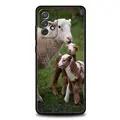 A1