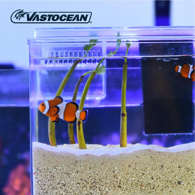 VASTOCEAN Fish Tank External Feeding Box Marine Tank Extension Tank Mangrove Tank ATS Algae Box Full USB Power Supply 6