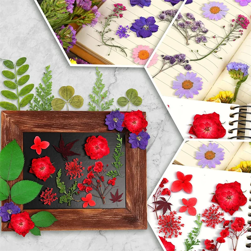 Real Dried Pressed Flowers Dry Plants Fruits for Aromatherapy Candle UV  Epoxy Resin Mold Fillings Nail Jewelry Craft DIY Making - AliExpress