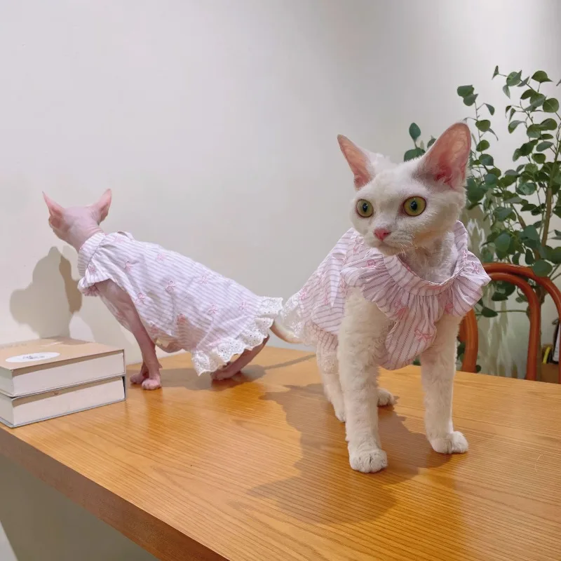 스핑크스 털이없는 고양이 옷 여름 애완 동물 활 스커트 독일 고양이 귀여운 작은 투명 레이스 스트라이프
