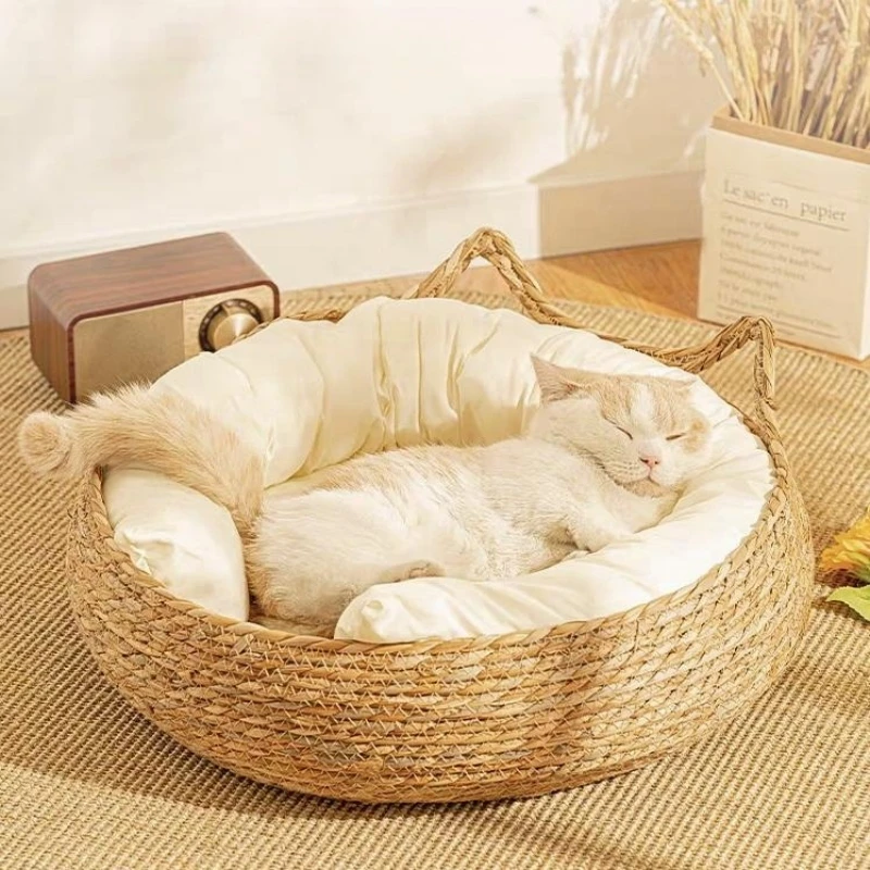  ħ ֿ  ,   ź  Cattailgrass  ũġ , Ż Ź  ܿ  е,  ֿ 