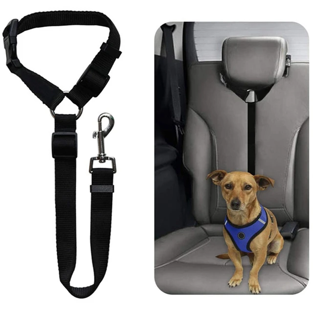 Ceinture de siège de voiture réglable pour animaux domestiques, harnais pour  chien et chat, laisse en plomb pour petits et moyens chiens, Clip de  voyage, fournitures d'extérieur pour animaux de compagnie 