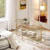 Coffee Table Oval Gold Glass 2-Tier Coffee Table, 42-Inch,   With Storage Shelves and Metal Frame,Living Room Coffee Table 1