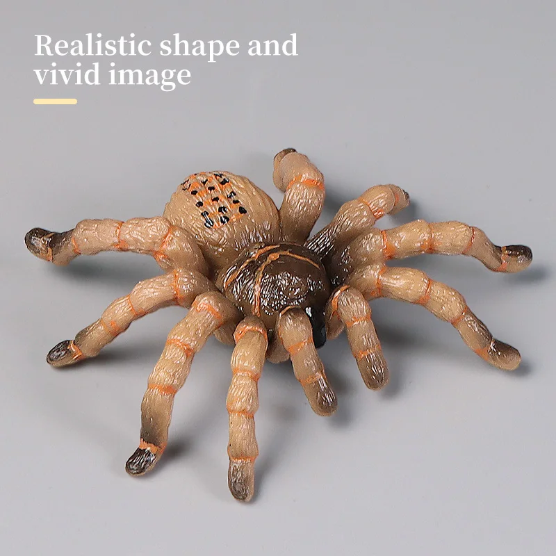 Tomicy Figurine Araignée Spider Titan Hero Series Spider 30 cm, Jou
