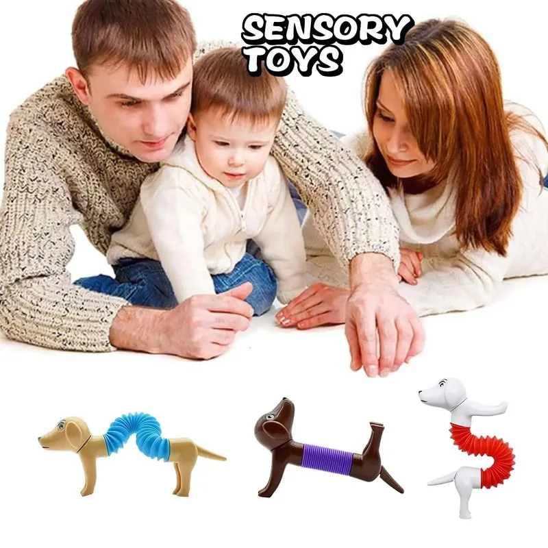 4Pcs Pop Tubes Spring Dog DIY Stress Reducing Toys for Children's Puzzle Grasp Sensory Cultivation Birthday Gift Toys for Kids 6