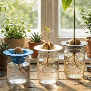 Sistema di Coltivazione per Avocado Senza Suolo, Vassoio per Germogli in Plastica, Dispositivo per la Coltivazione di Piantine, Sistema di Crescita per Interni Domestici