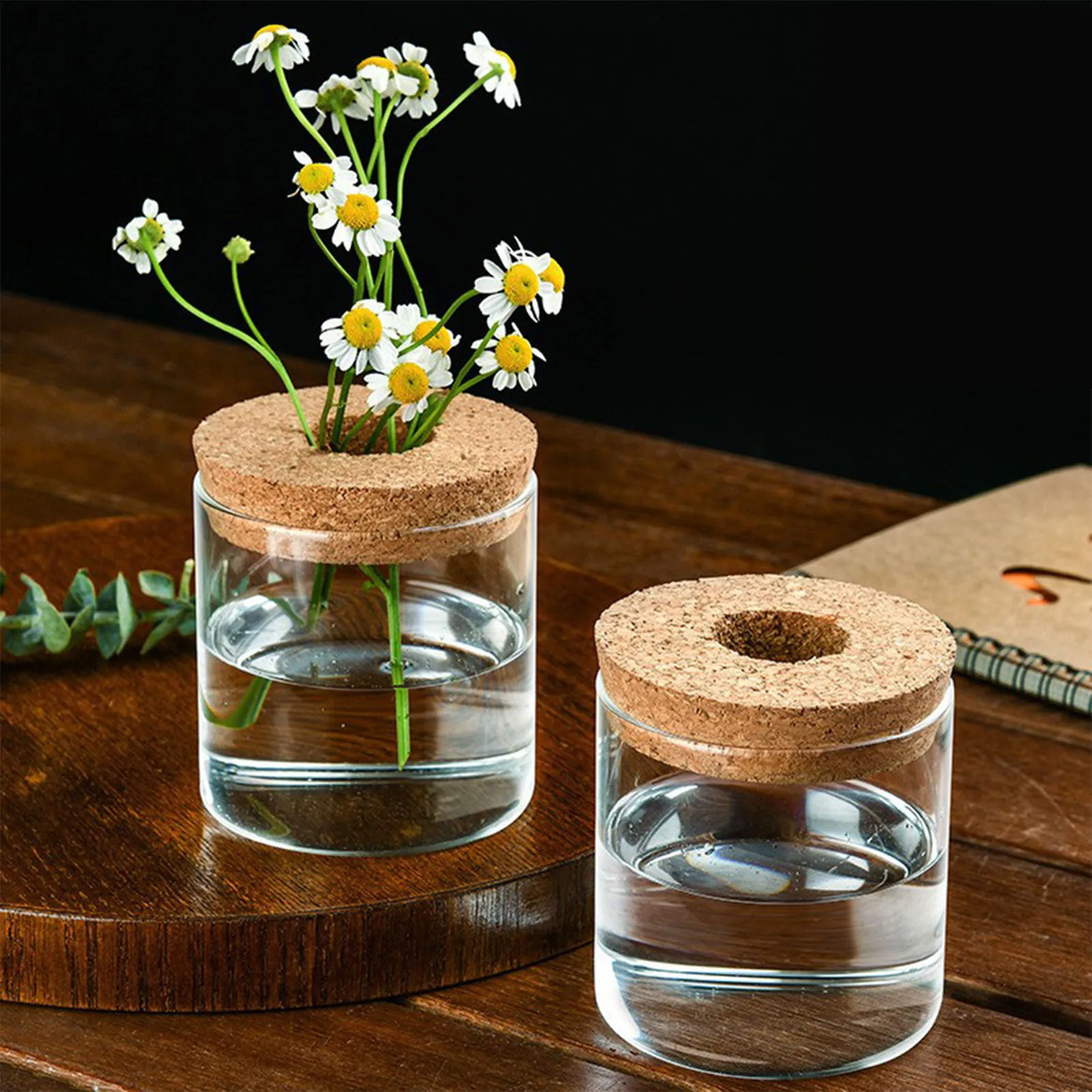 Creative Hydroponic Flower Pot for Home and Office Decor