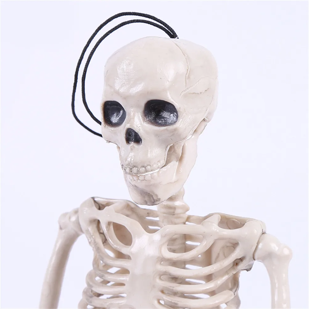 High Quality 40CM Human Anatomical Anatomy Skeleton Model Medical Learn Aid Anatomy human skeletal model Retail