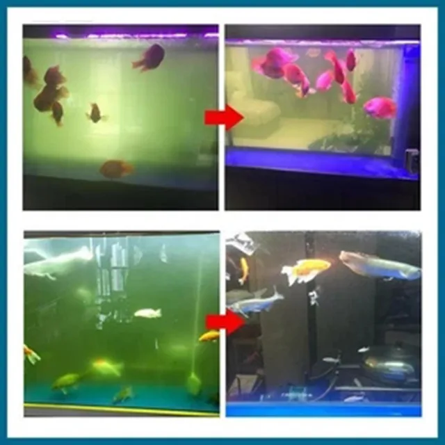 Öko-Aquarium Tisztító Por Algák Riasztó Ügynök Mohás Eltávolító Akvárium Víztisztító Úszómedence - Image 3
