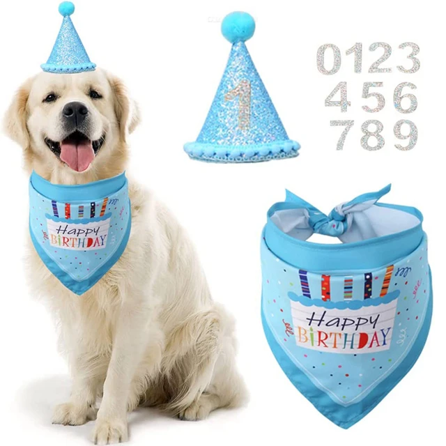 Set Compleanno Per Cane - Cappello E Bandana Blu - Decorazioni Per Feste Con Palloncini E Striscione - Foto 2