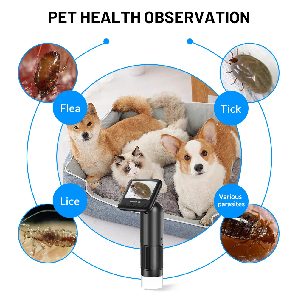 APEXEL 800X Handheld Digital Microscope 2” LCD Screen Adjustable Light + SD  Card