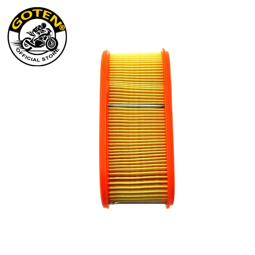 Goten ���� ����, Briggs & Stratton 795066