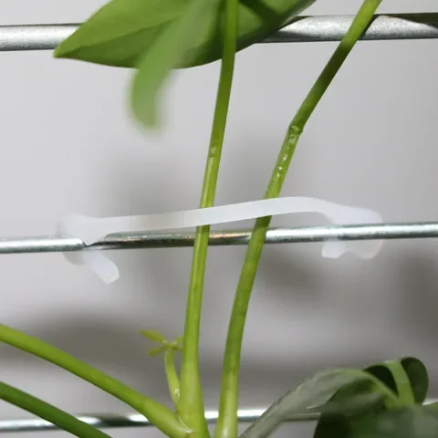 

Plants Bundled Lashing Hook Garden Accessories Fixed Vegetable Strapping Of fruit Vines for Garden Tree Climbing Support 100 Pcs