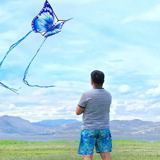 New Colorful Butterfly Hard-winged Kite Nylon Outdoor Kites Flying Toys For Children Stunt Kite Surf With Control Bar And Line 2