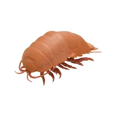Juguetes originales de Bandai Gashapon, insectos gigantes, gusanos de la píldora, cochinillas, mariquitas, isópodos gigantes, articulaciones móviles, modelos de simulación, adornos y dijes