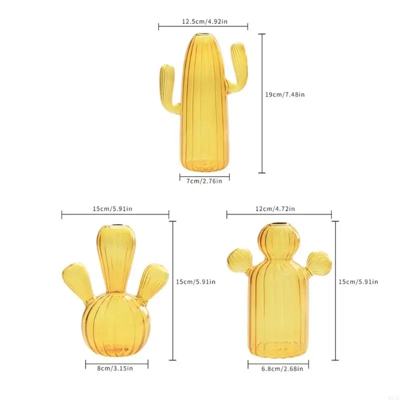 QX2E Cactus Glass Vase Hydroponics Plant Flowerpots Livingrooms Decorations for Bedroom 6