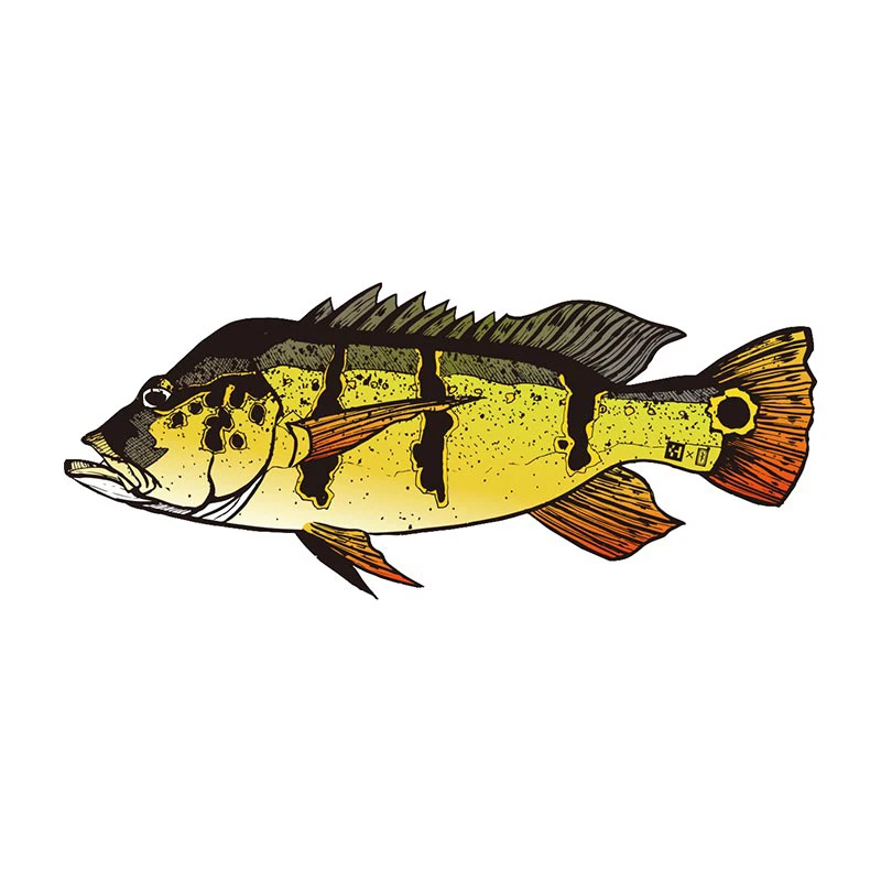 Le Poisson Steve Autocollant humoristique en vinyle imperméable pour ordinateur portable, bouteille d'eau, voiture, étui de téléphone, cadeau