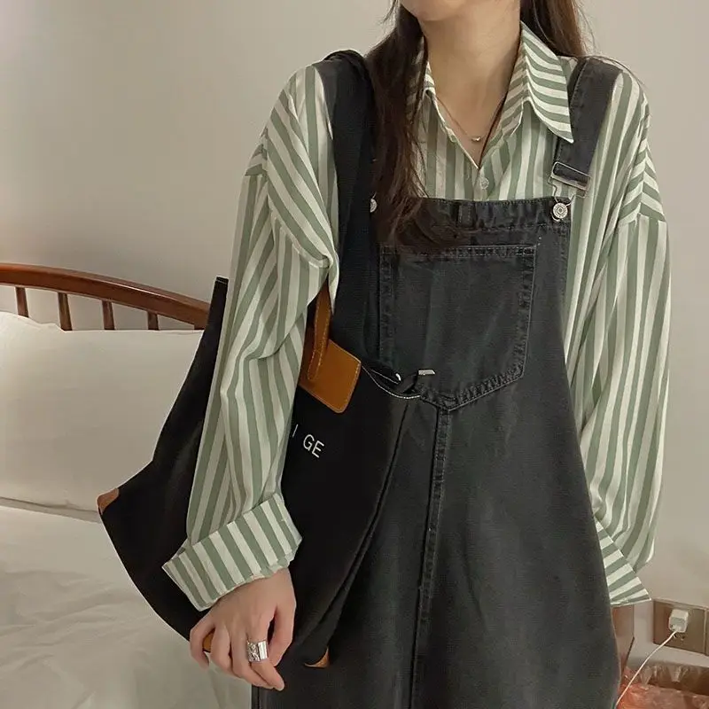 HOUZHOU  ϶ Ʈ , , ѱ Ÿ,  ĳ־,  ĳ־, ׸ 콺, ư Ƿ