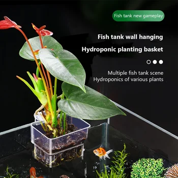 Hanging Aquarium Live Plant Basket 5