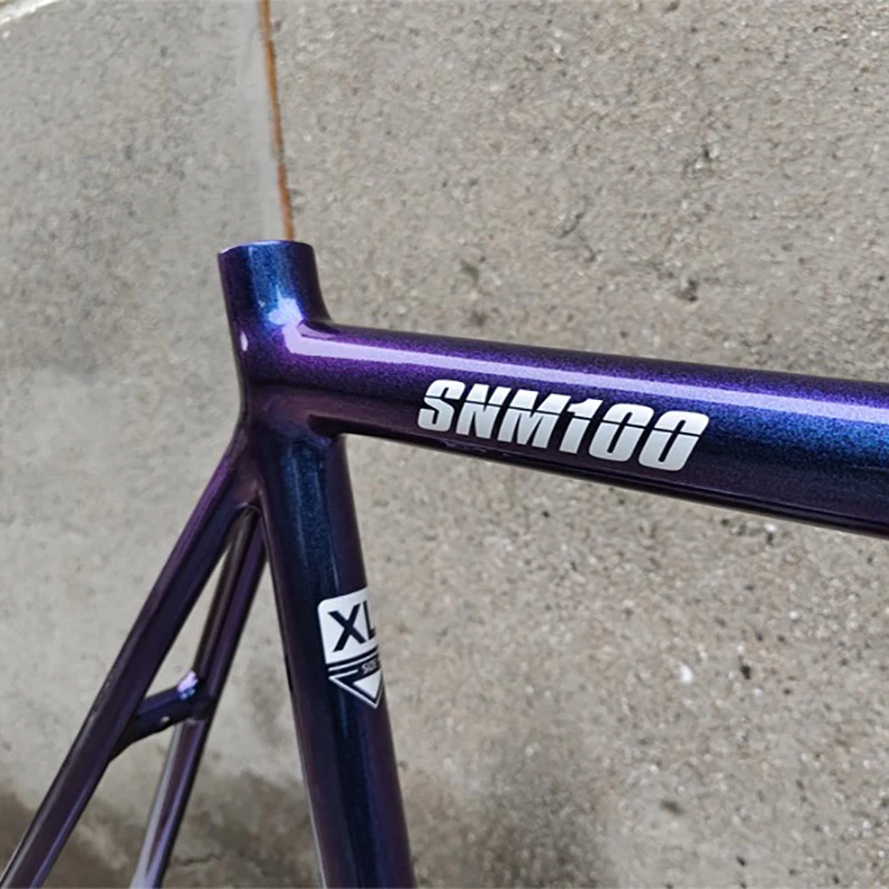 tsunami snm100 chameleon 52size ピストバイク 競輪 700c
