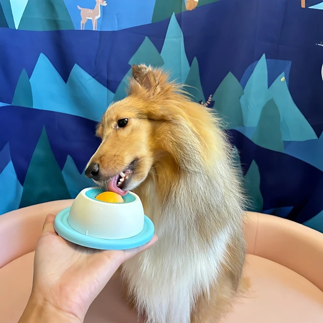 Dog Stimulation Toys Pet Lick Mat Slow Feeder Yogurt Licking Plate Interactive Cats Dog Snack Bowl Tiring Bowls Dental Care Tool 2