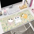 Cat AC006630 (7)
