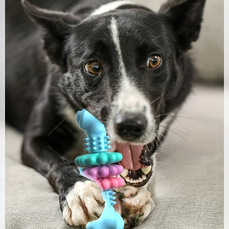 Pet Toys Dog Chew Meaty Bone Toys TPR Bone Type Multi-meat Pieces Bite Bite Resistant Teeth Toy Set Dog Bone Toy Supplies