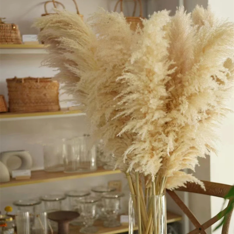 

Dried Pampas Grass Decor Large 60cm Tall Fluffy Artificial Fake Flower Boho Reed for Vase Filler Farmhouse Home Wedding Decor
